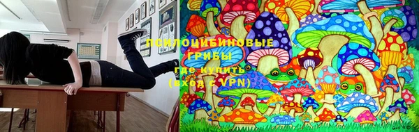 ГАЛЛЮЦИНОГЕННЫЕ ГРИБЫ Алзамай