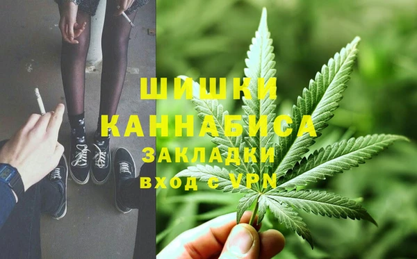 ГАЛЛЮЦИНОГЕННЫЕ ГРИБЫ Алзамай