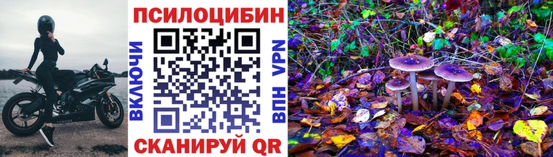 Псилоцибиновые грибы Psilocybine cubensis  продажа наркотиков  Нарьян-Мар 